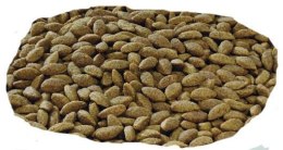 Purina Pro Plan Medium & Large 7+ Sensitive Optiderma Łosoś I Ryż 14kg Purina Pro Plan