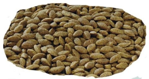Purina Pro Plan Medium & Large 7+ Sensitive Optiderma Łosoś I Ryż 14kg Purina Pro Plan