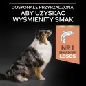 Purina Pro Plan Medium & Large 7+ Sensitive Optiderma Łosoś I Ryż 14kg Purina Pro Plan