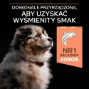 Purina Pro Plan Medium Puppy Sensitive Optiderma Łosoś I Ryż 12kg Purina Pro Plan