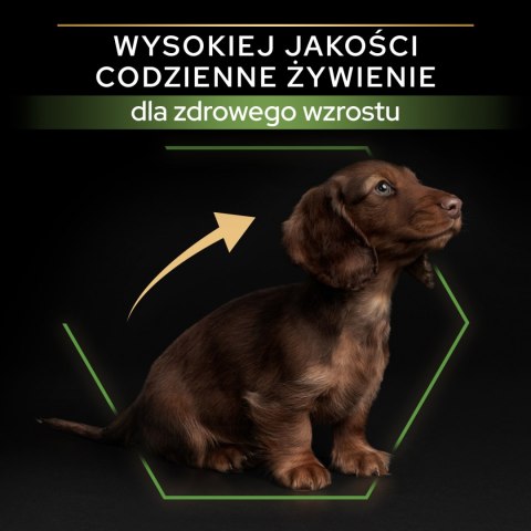 Purina Pro Plan Small & Mini Puppy Optistart Kurczak I Ryż 7kg Purina Pro Plan