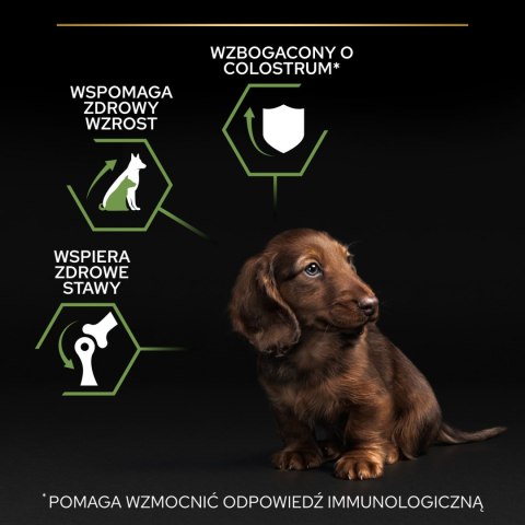 Purina Pro Plan Small & Mini Puppy Optistart Kurczak I Ryż 7kg Purina Pro Plan