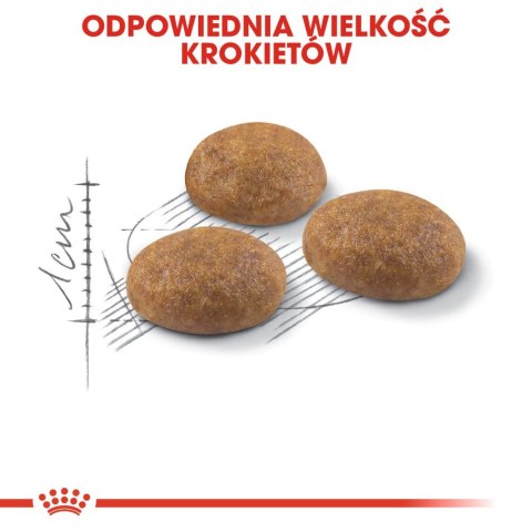 ROYAL CANIN Outdoor 400g Royal Canin