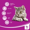 WHISKAS Karma Sucha Dla Kota 1+ Z Wołowiną 14kg Whiskas