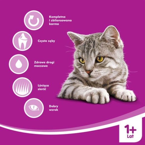 WHISKAS Karma Sucha Dla Kota 1+ Z Wołowiną 14kg Whiskas