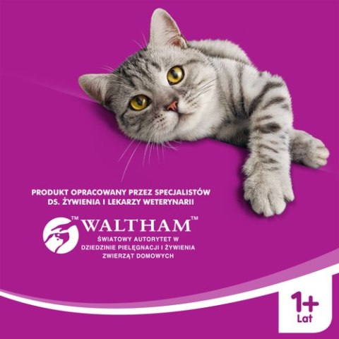WHISKAS Karma Sucha Dla Kota 1+ Z Wołowiną 14kg Whiskas