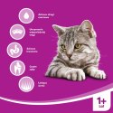 WHISKAS Karma Sucha Dla Kota Po Sterylizacji 1+ Sterile Z Kurczakiem 14kg Whiskas