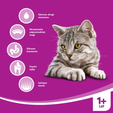 WHISKAS Karma Sucha Dla Kota Po Sterylizacji 1+ Sterile Z Kurczakiem 14kg Whiskas