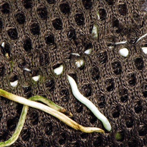 Wacool Rainforest Plant Cotton 290x290mm - hydrolon WaCool