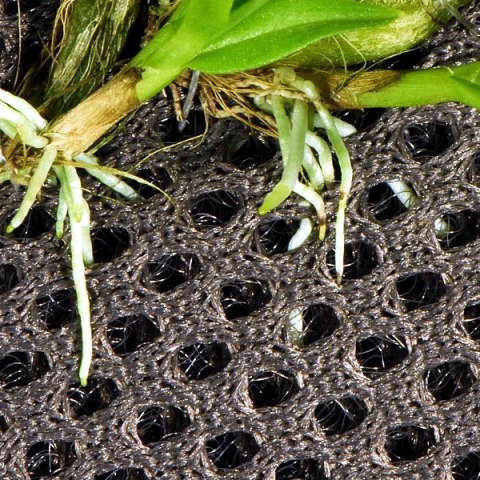 Wacool Rainforest Plant Cotton 590x440mm - hydrolon WaCool