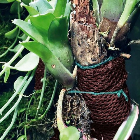 Wacool Rainforest Plant Cotton 590x440mm - hydrolon WaCool