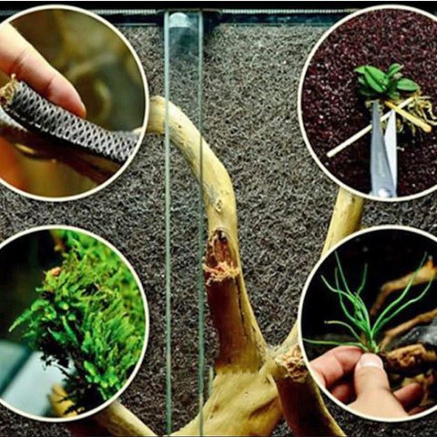 Wacool Rainforest Plant Cotton 590x440mm - hydrolon WaCool