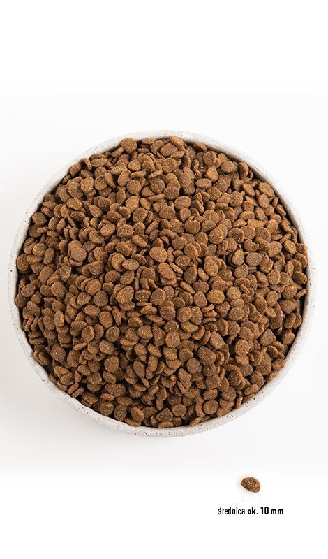 ORIJEN Original Cat 5,4kg Orijen