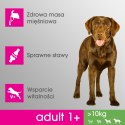 PERFECT FIT Adult 1+ Duże Rasy Z Kurczakiem 825g Perfect Fit