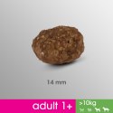 PERFECT FIT Adult 1+ Duże Rasy Z Kurczakiem 825g Perfect Fit