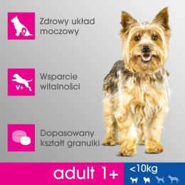PERFECT FIT Adult 1+ Małe Rasy Z Kurczakiem 6kg Perfect Fit