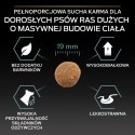 Purina Pro Plan Large Robust Optidigest Jagnięcina Z Ryżem 14kg Purina Pro Plan