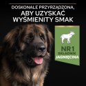 Purina Pro Plan Large Robust Optidigest Jagnięcina Z Ryżem 14kg Purina Pro Plan
