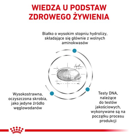 ROYAL CANIN Anallergenic Cat 4kg Royal Canin weterynaria