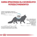 ROYAL CANIN Anallergenic Cat 4kg Royal Canin weterynaria