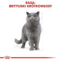 ROYAL CANIN British Shorthair Adult 400g Royal Canin