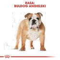 ROYAL CANIN Bulldog Adult 12kg Royal Canin