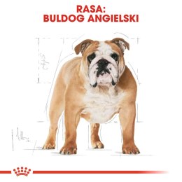 ROYAL CANIN Bulldog Adult 12kg Royal Canin