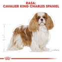 ROYAL CANIN Cavalier King Charles Spaniel Adult 1,5kg Royal Canin