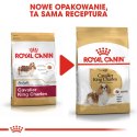 ROYAL CANIN Cavalier King Charles Spaniel Adult 1,5kg Royal Canin