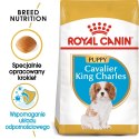 ROYAL CANIN Cavalier King Charles Spaniel Puppy 1,5kg Royal Canin