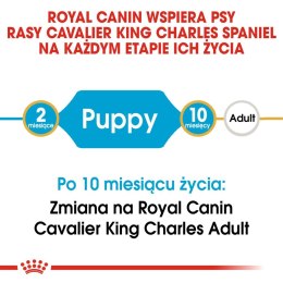ROYAL CANIN Cavalier King Charles Spaniel Puppy 1,5kg Royal Canin