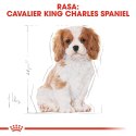 ROYAL CANIN Cavalier King Charles Spaniel Puppy 1,5kg Royal Canin