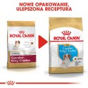 ROYAL CANIN Cavalier King Charles Spaniel Puppy 1,5kg Royal Canin