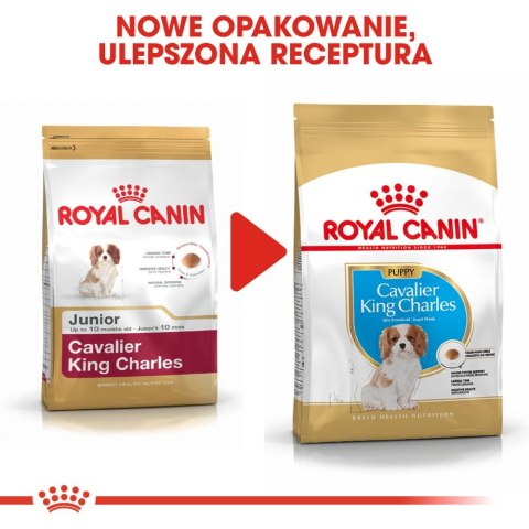 ROYAL CANIN Cavalier King Charles Spaniel Puppy 1,5kg Royal Canin