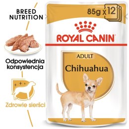 ROYAL CANIN Chihuahua Adult 12x85g Royal Canin