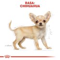 ROYAL CANIN Chihuahua Puppy 500g Royal Canin