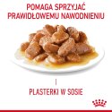 ROYAL CANIN Digest Sensitive 12x85g Royal Canin