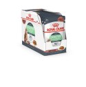 ROYAL CANIN Digest Sensitive 12x85g Royal Canin