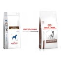 ROYAL CANIN Gastrointestinal Dog 2kg Royal Canin weterynaria