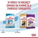 ROYAL CANIN Giant Junior 15kg Royal Canin
