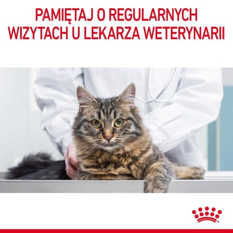 ROYAL CANIN Intense Beauty Gelee 12x85g Royal Canin