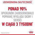 ROYAL CANIN Intense Beauty Gelee 12x85g Royal Canin