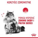 ROYAL CANIN Intense Beauty Gelee 12x85g Royal Canin
