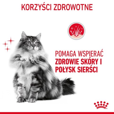 ROYAL CANIN Intense Beauty Gelee 12x85g Royal Canin