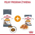 ROYAL CANIN Intense Beauty Gelee 12x85g Royal Canin