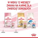 ROYAL CANIN Kitten Instinctive W Sosie 12x85g Royal Canin