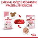 ROYAL CANIN Kitten Pasztet 12x85g Royal Canin
