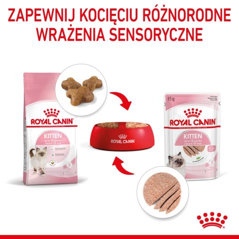 ROYAL CANIN Kitten Pasztet 12x85g Royal Canin