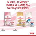 ROYAL CANIN Kitten Pasztet 12x85g Royal Canin