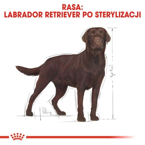 ROYAL CANIN Labrador Retriever Sterilised 12kg Royal Canin